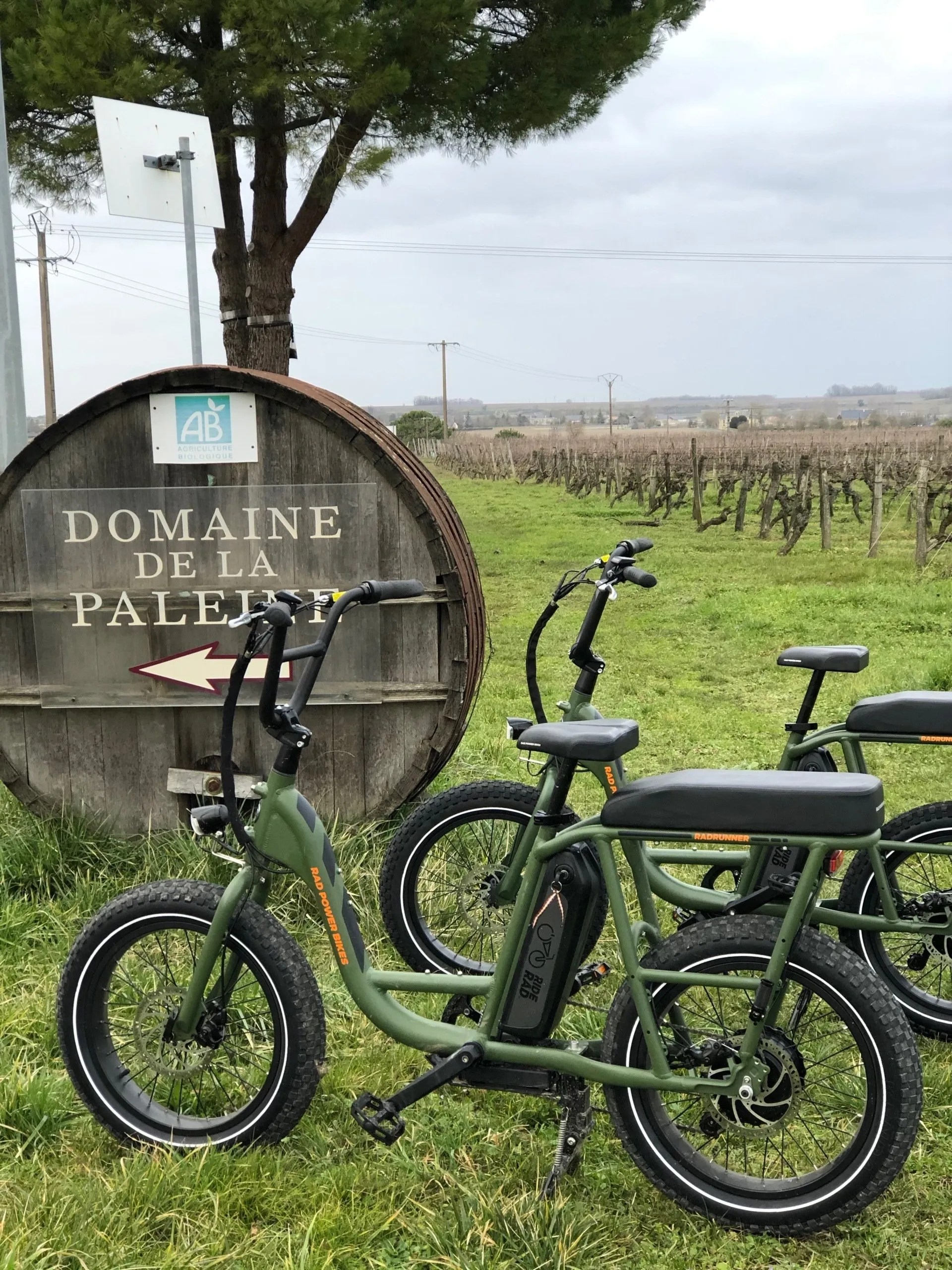 Electric BIKE Wine Tour in Loire Vineyards on Fat Tyre Radrunners