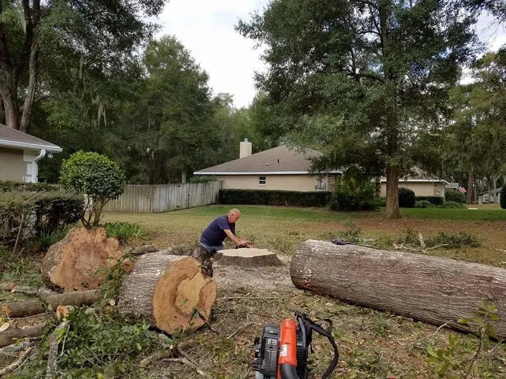 Stump Grinding & Removal Keystone Heights & Gainesville, FL