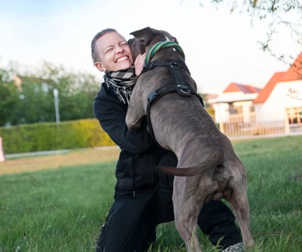 How Much Do Hulk Puppies Cost