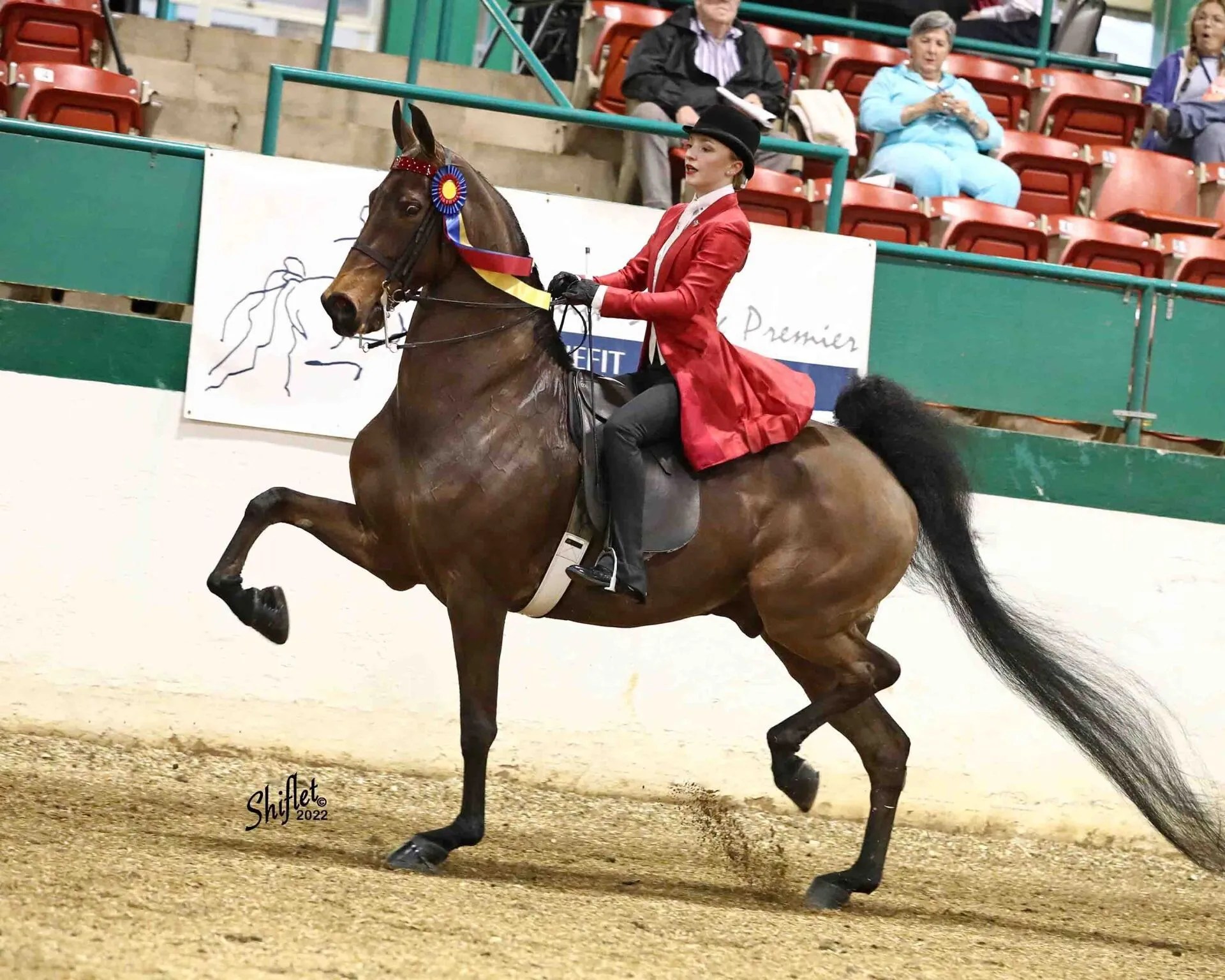 Learn to Ride Horses at Cater Stables • Manchester, NH