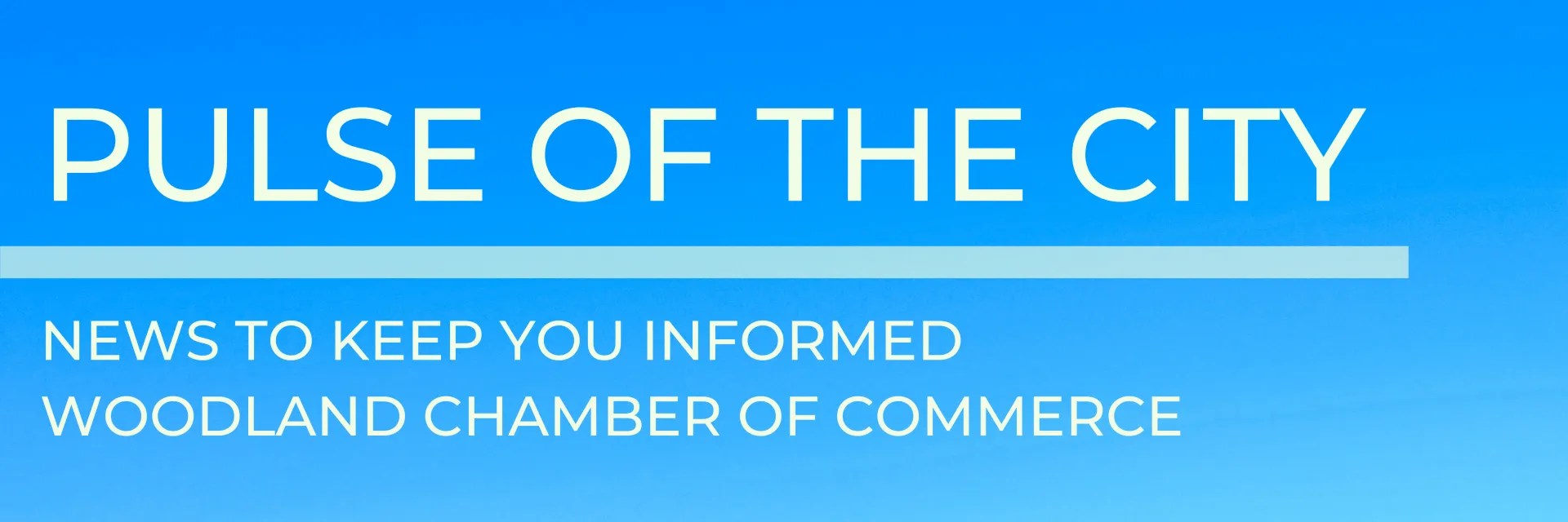 Pulse of the City Archive Woodland Chamber of Commerce Woodland, CA