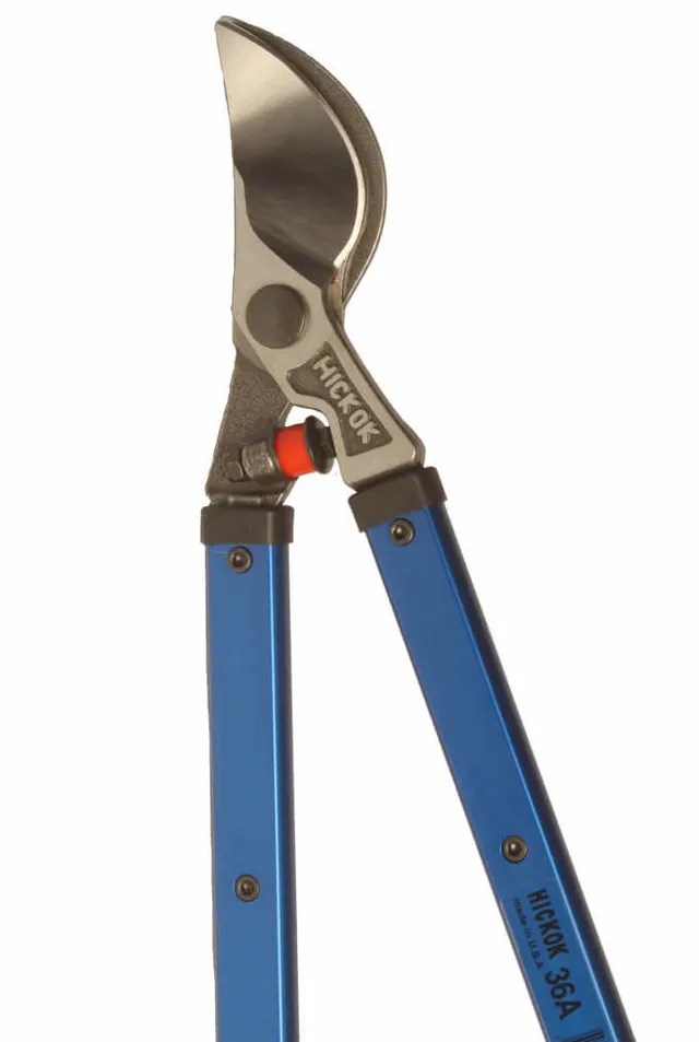 Best Loppers For Thick Branches atelieryuwa.ciao.jp