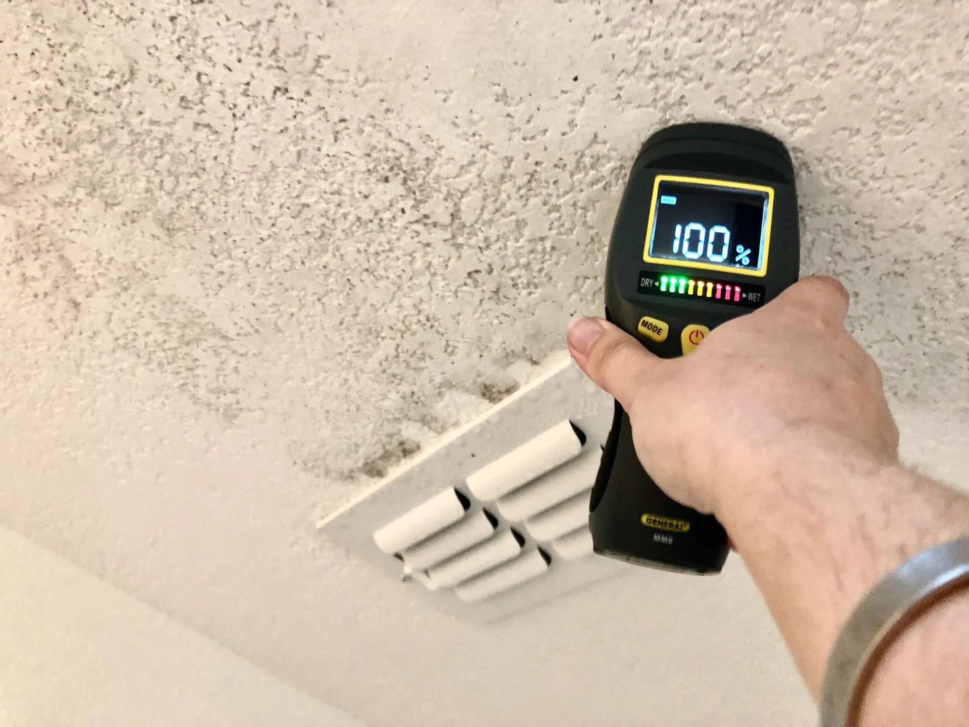 High Humidity and Mold Blooms A Preventative Guide