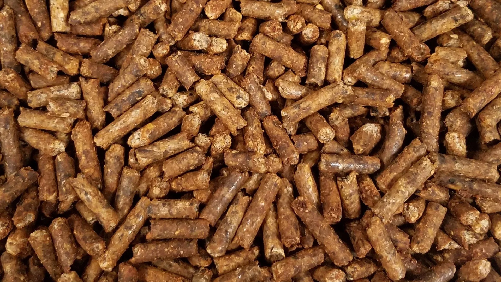 SCF Horse Supplies Horse Nutrition Feed Supplier Horse Food