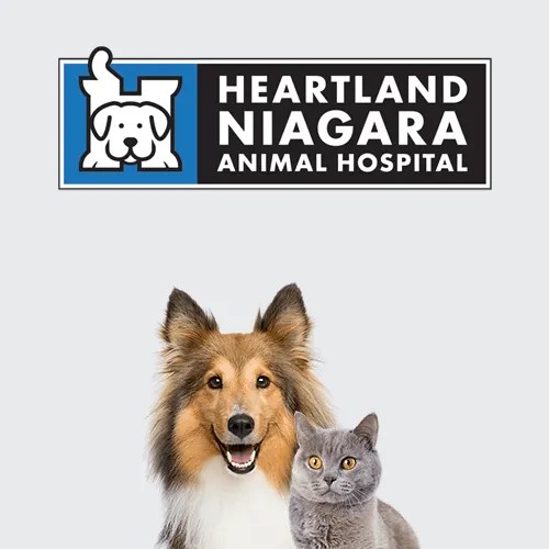 Vet Clinic in Niagara Falls and Thorold, ON Animal Hospital