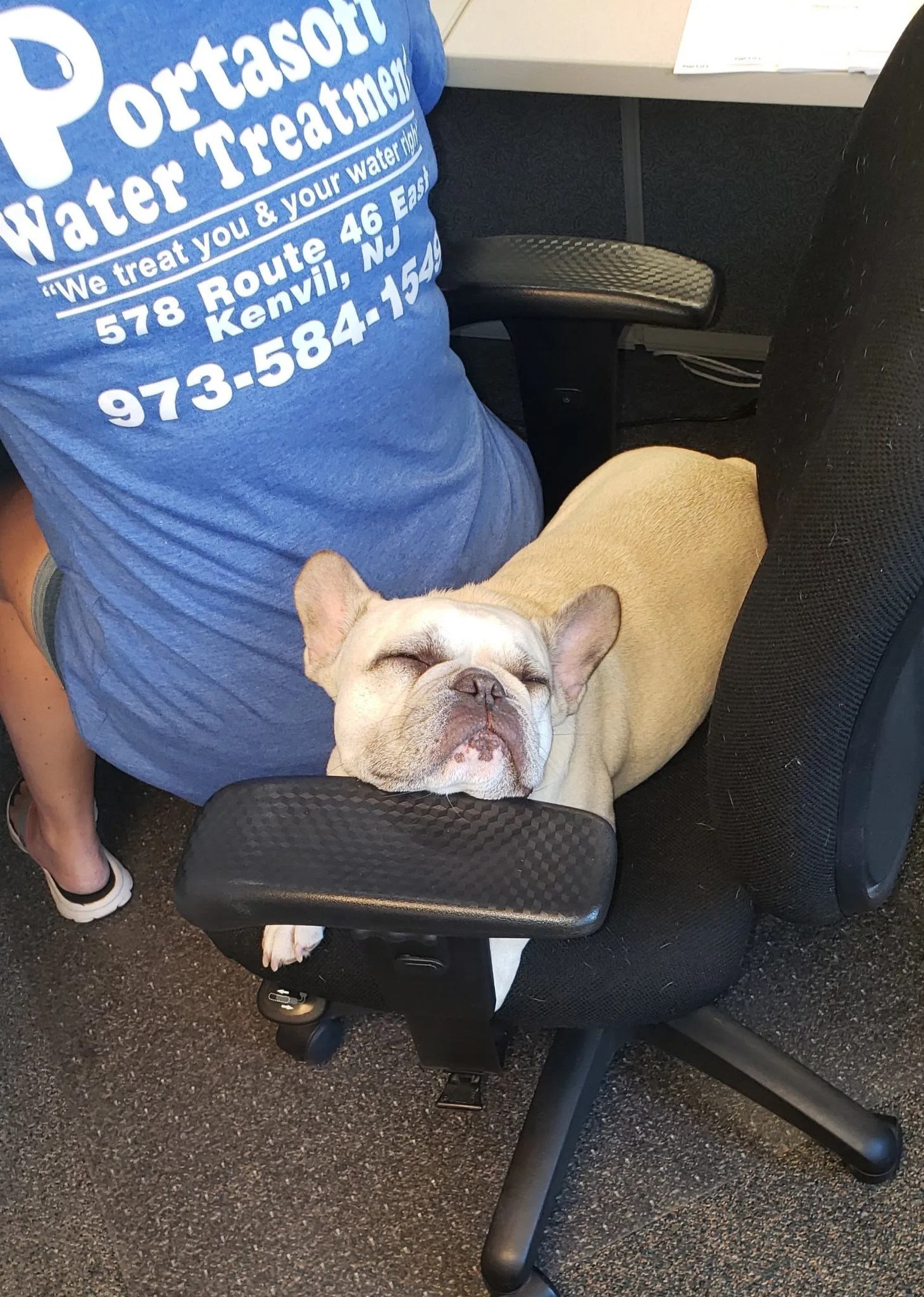 Water Filtration Kenvil, NJ Portasoft of Morris County