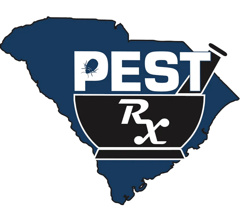 Residential Pest Control Upstate & Easley, SC Pest Rx