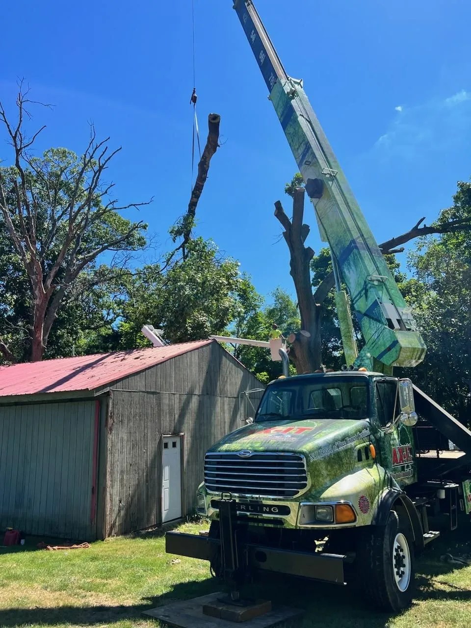 Top Rated Tree Removal Service in Deptford, Elmer & Pittsgrove Township