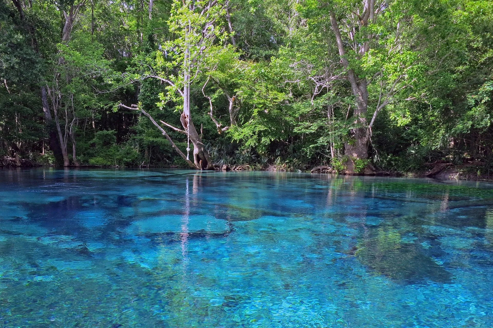 Most Popular Springs to Visit Near Panama City Beach