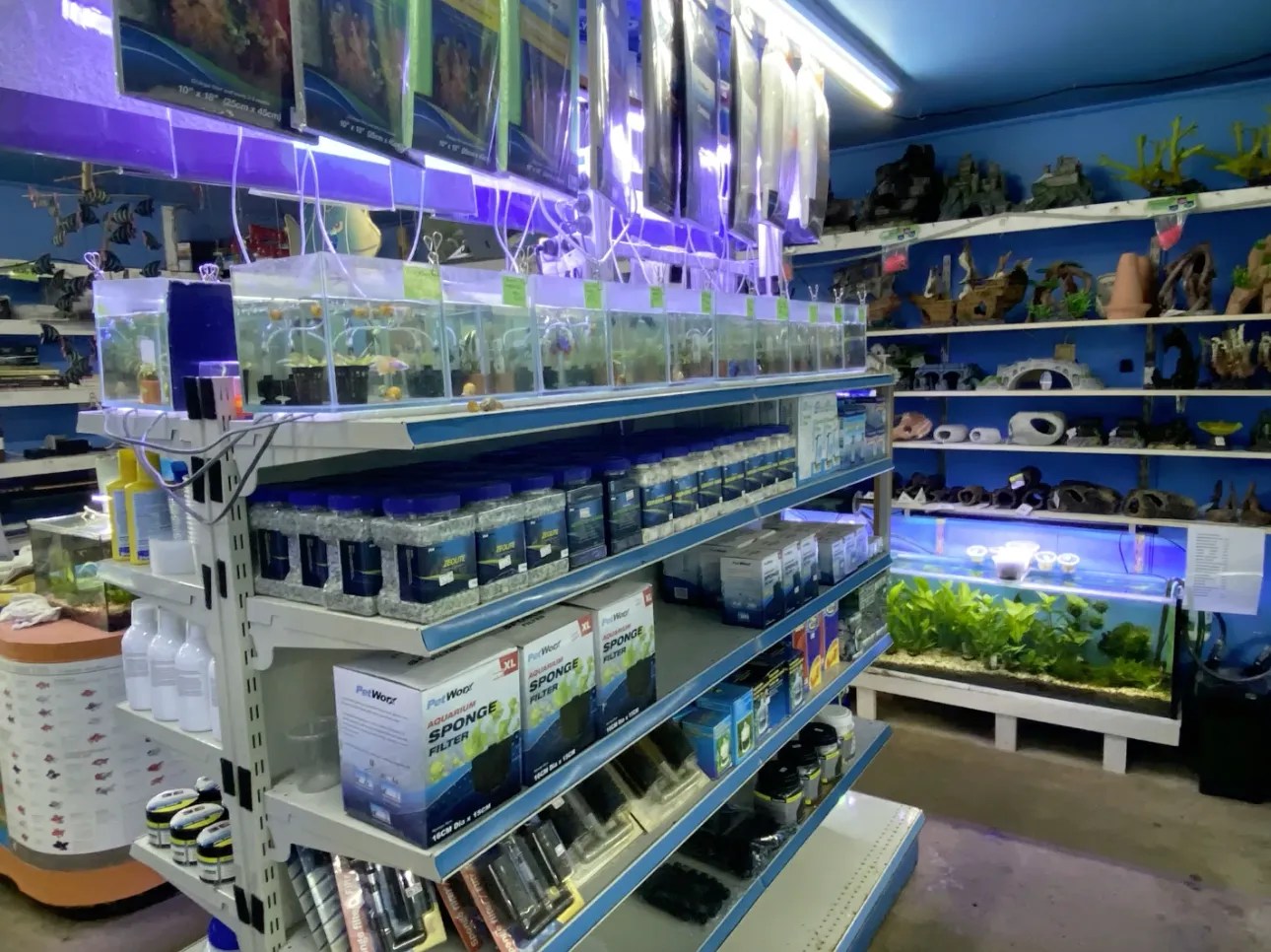 Fish Tank Accessories in Northern Rivers Summerland Aquarium