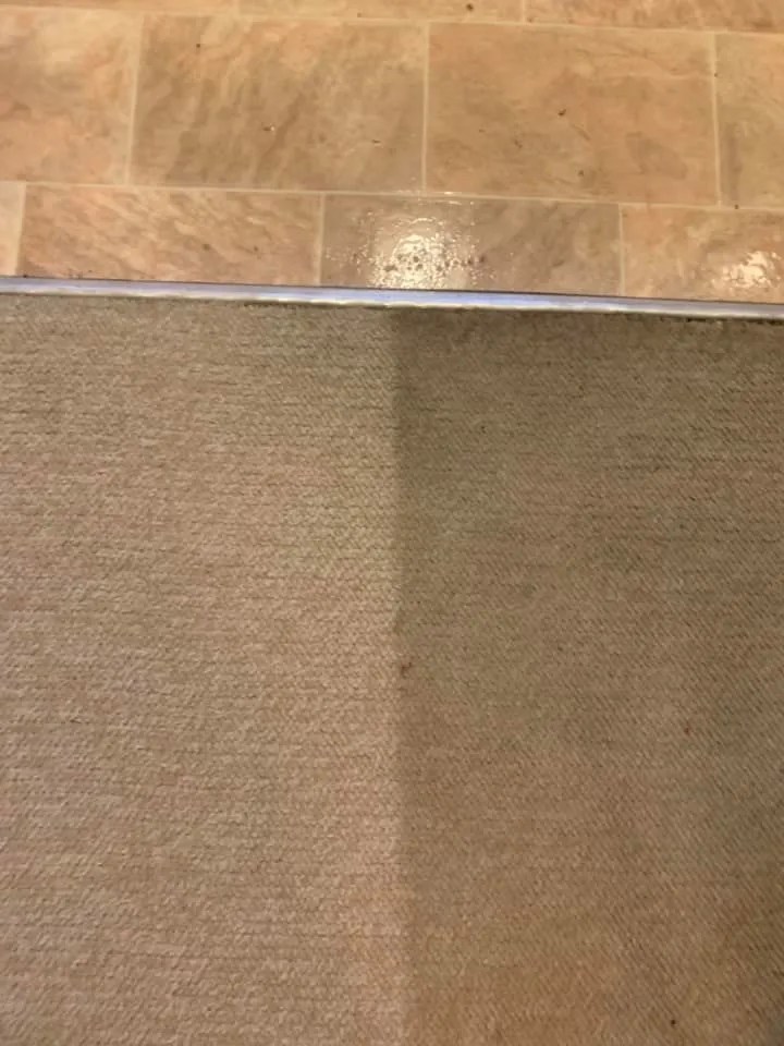 Quality Carpet Cleaning in Dubbo Gower Carpet Cleaning