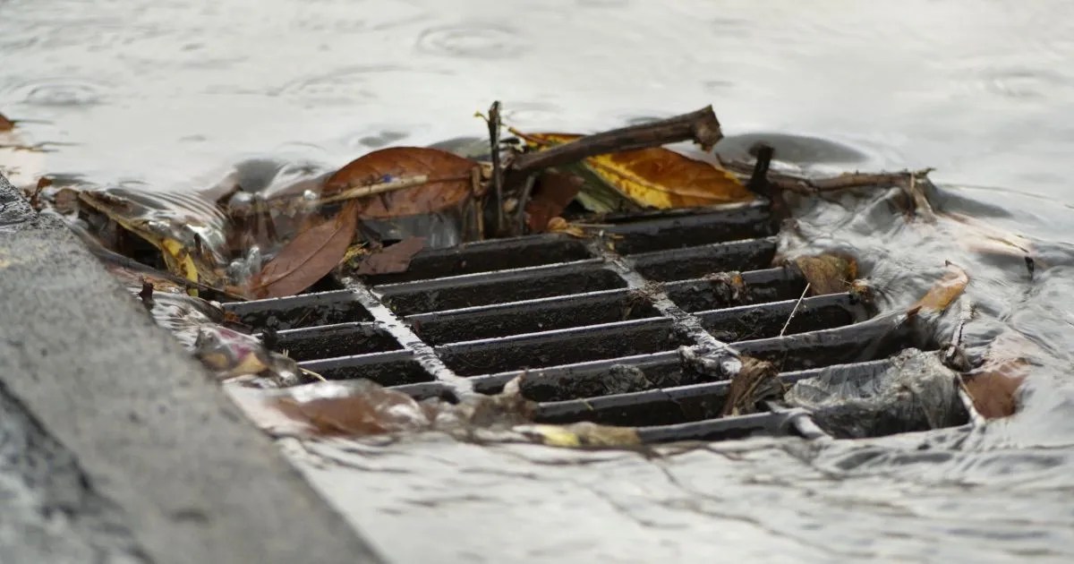 How To Maintain Storm Drains Plumb Works Inc