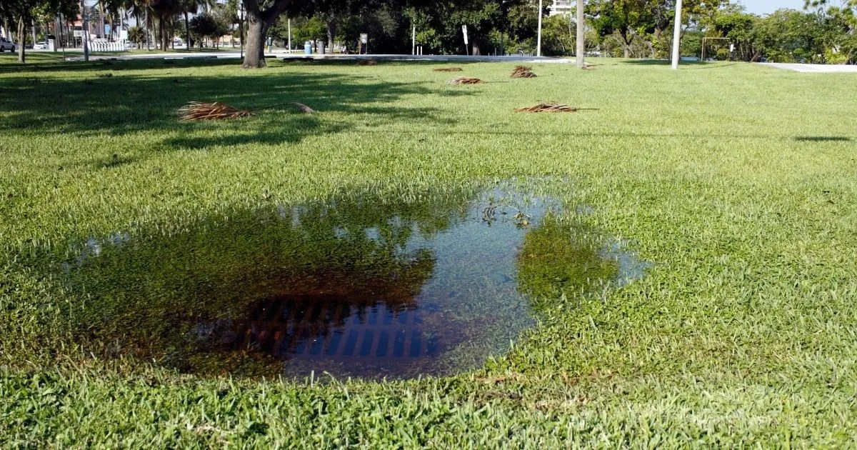 How To Maintain Storm Drains Plumb Works Inc