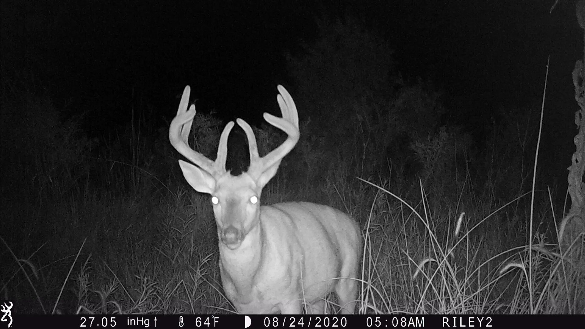 Nebraska Whitetail & Mule Deer Hunts Guide & Outfitter