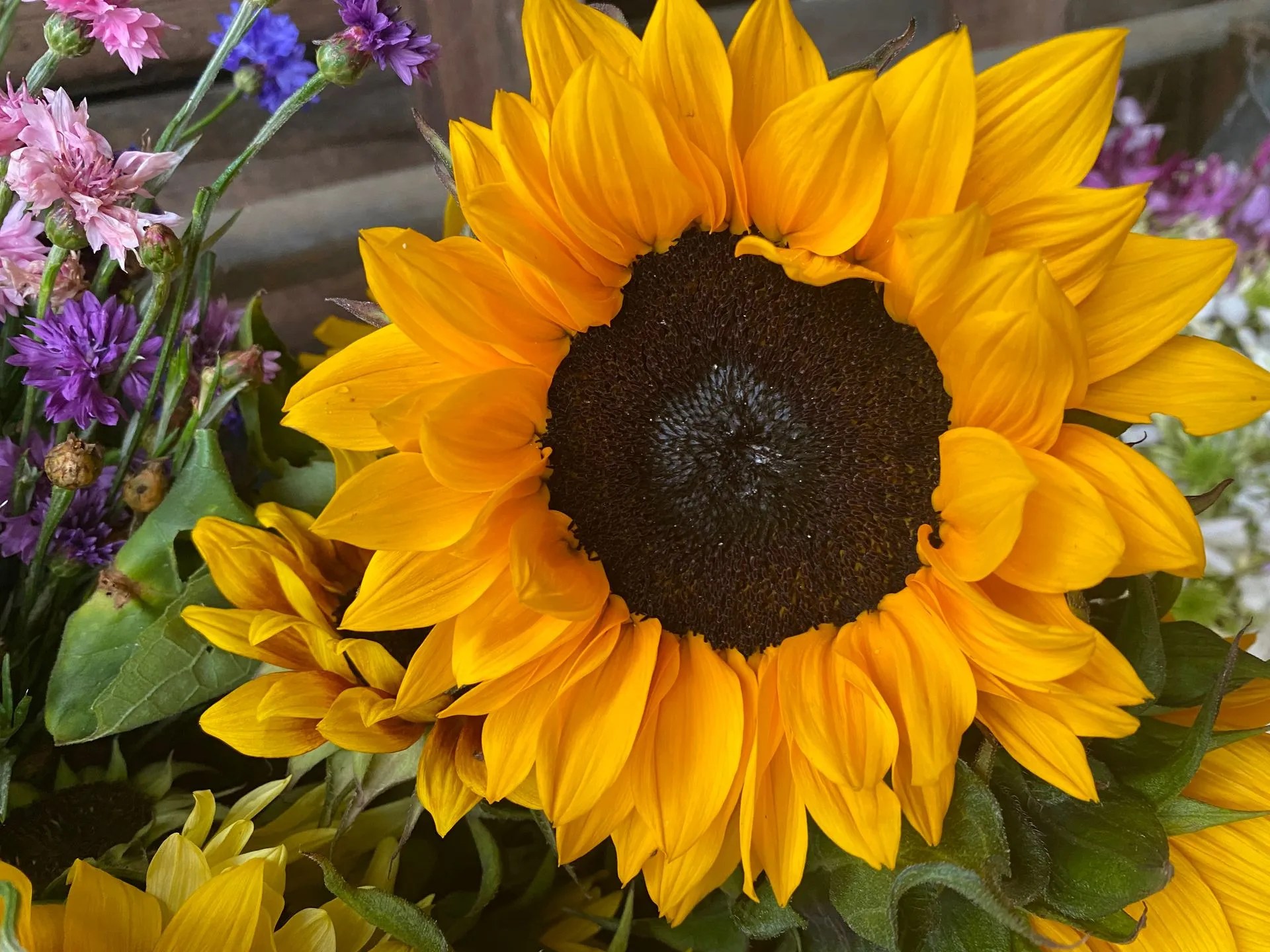 Hoolie Flats Farm Flower Maze in East Calais, VT
