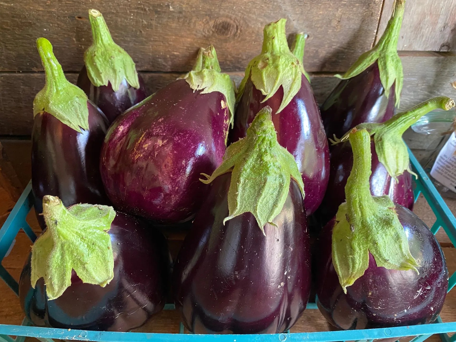 Hoolie Flats Farm Flower Maze in East Calais, VT