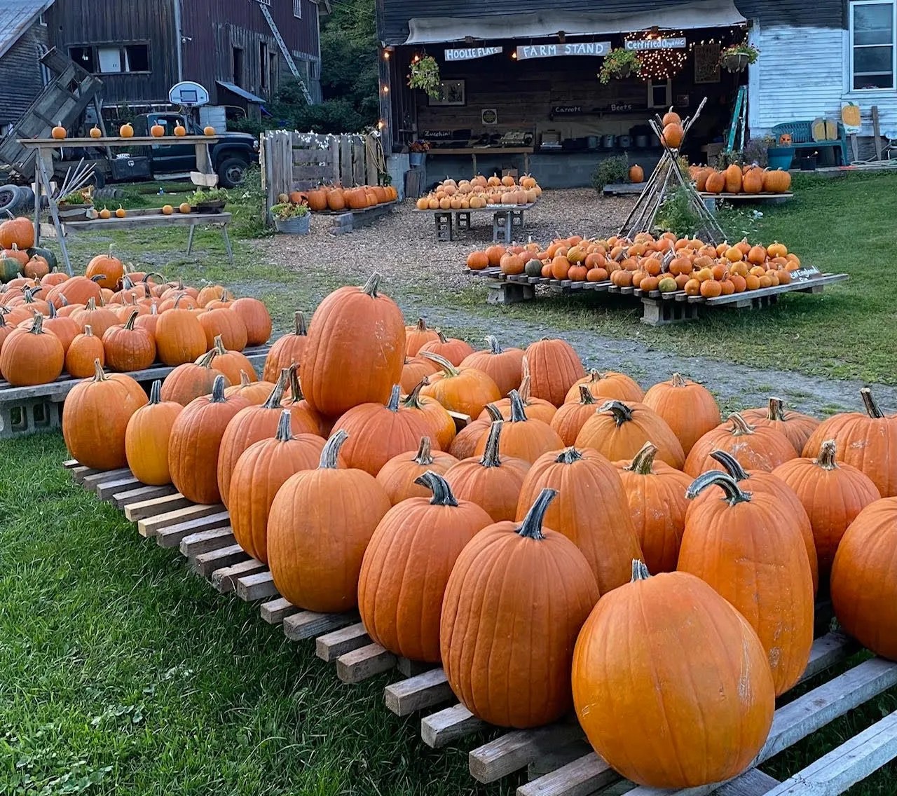 Hoolie Flats Farm Farmstand in East Calais, VT