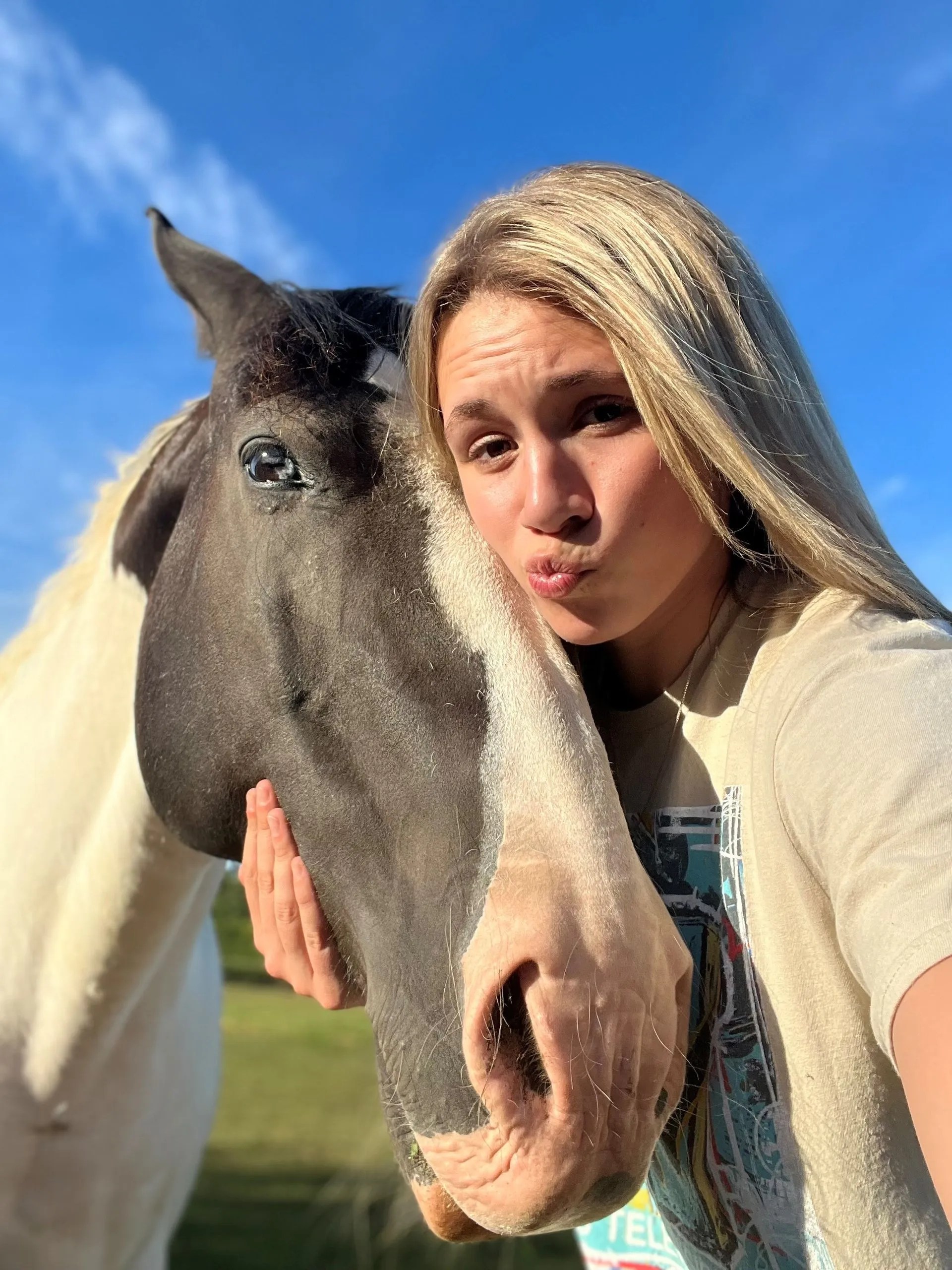 Our Exceptional Horse Wellness Program Mora, MN