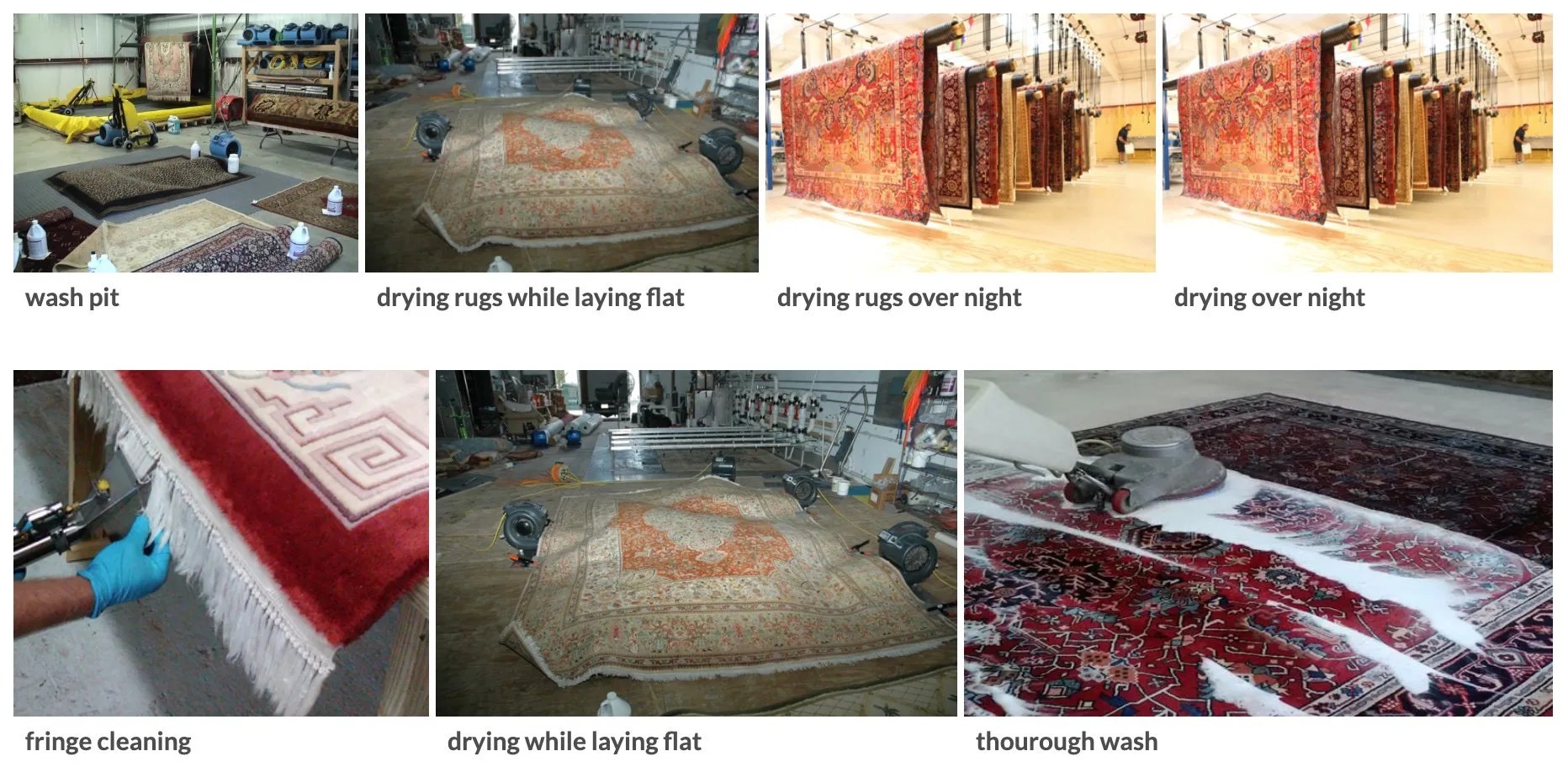 Our Rug Cleaning Process Oriental Rug Masters