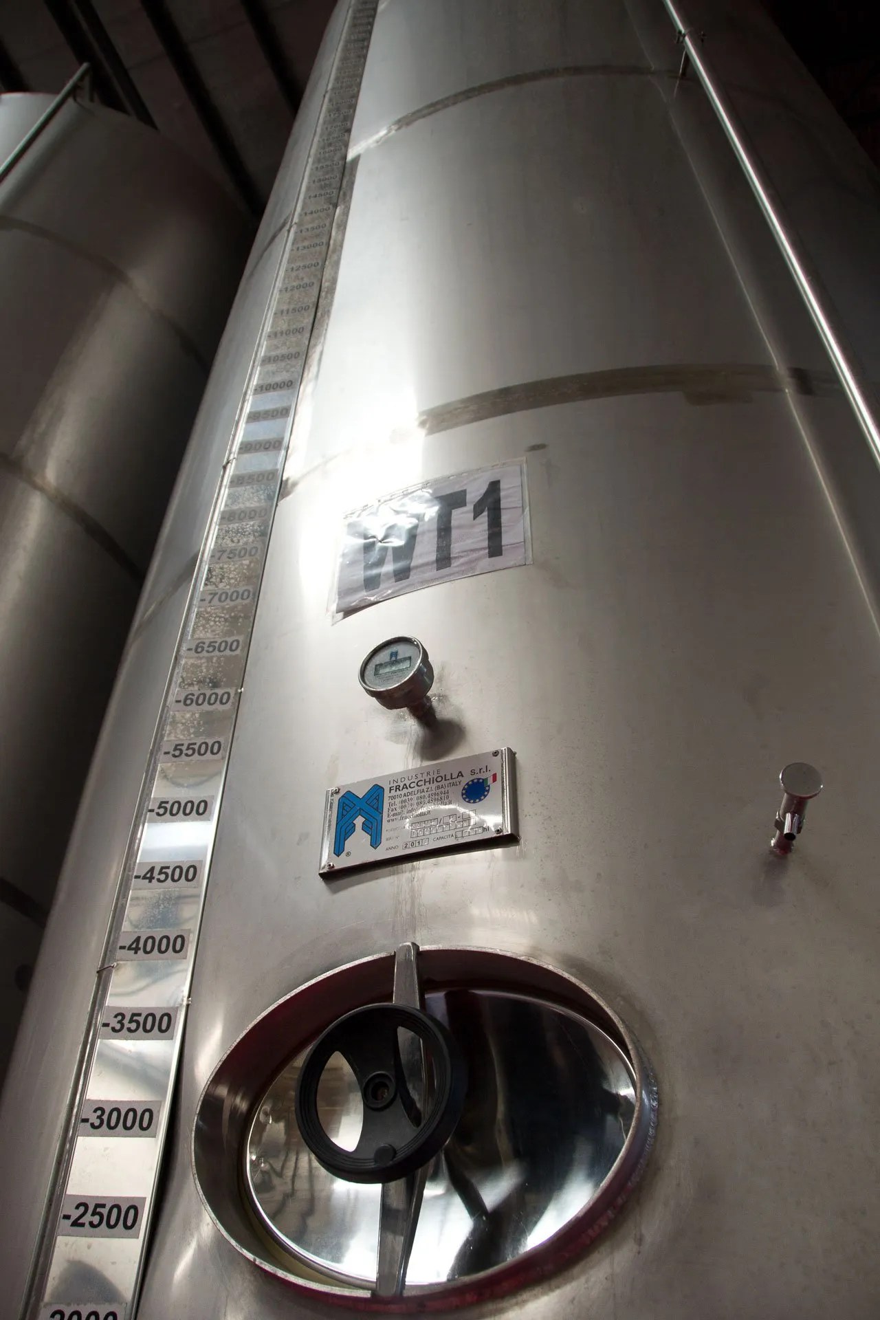 What goes into making a wine special? Novellino Wines