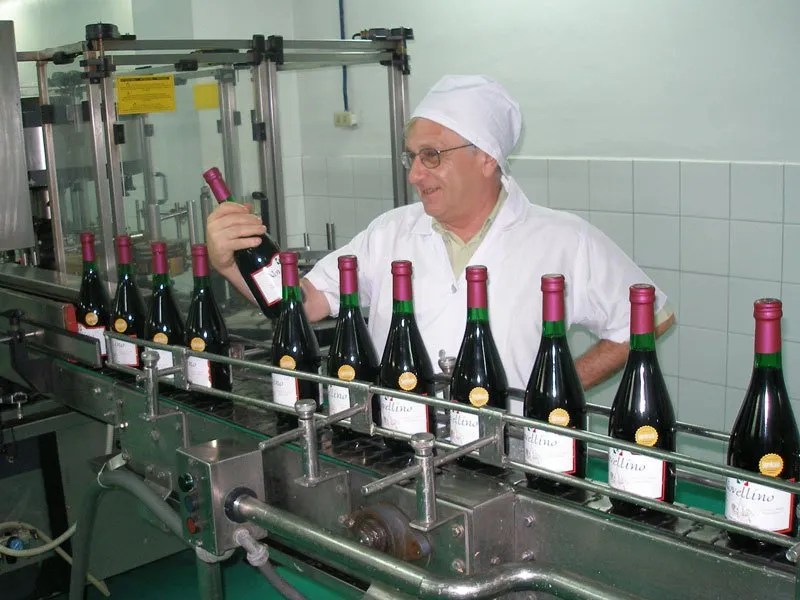 What goes into making a wine special? Novellino Wines