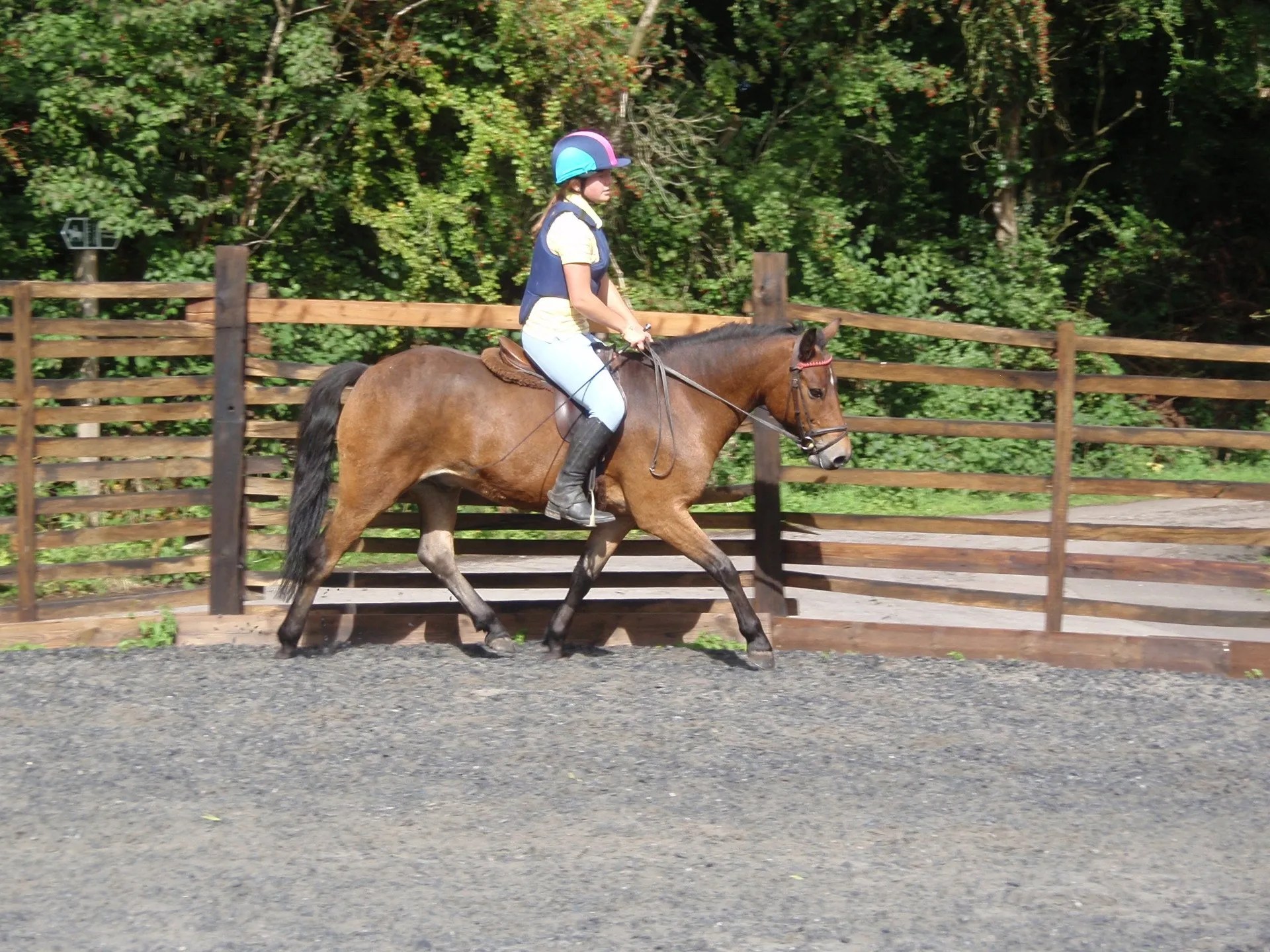 Engine Common Horse Riding School Bristol What We Can Offer