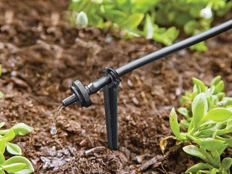 Irrigation and Drainage Solutions / Greenville SC