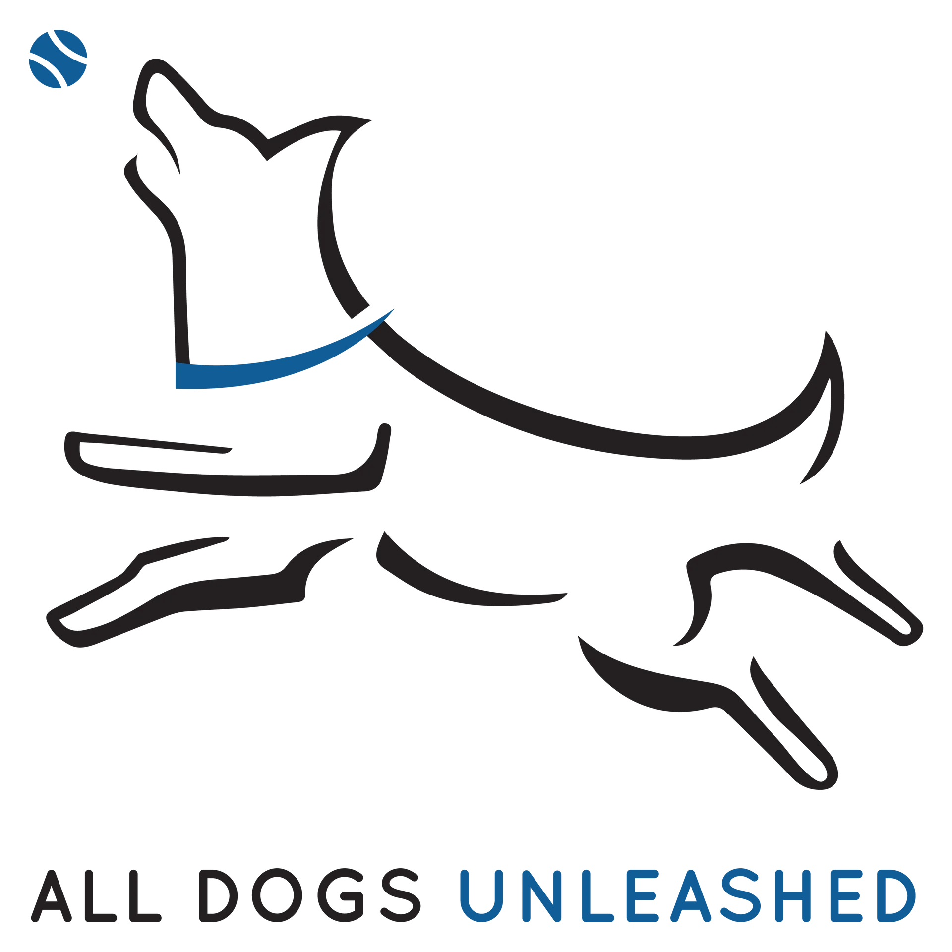 Franchise Broker Franchise Opportunities Buy a Franchise