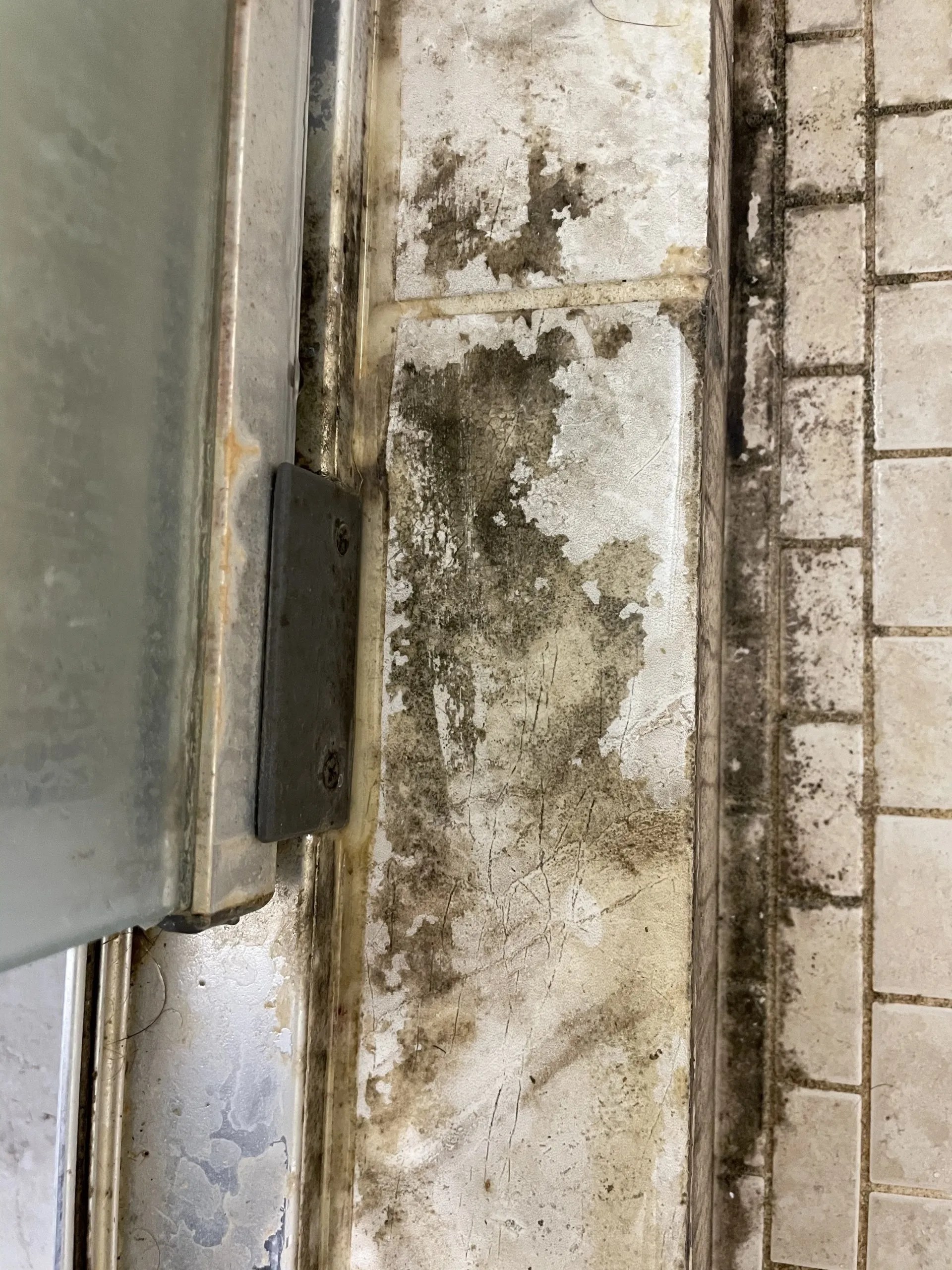 Professional Cleaning Service Sandy Spring, Maryland Star Maids Cleaning Solutions