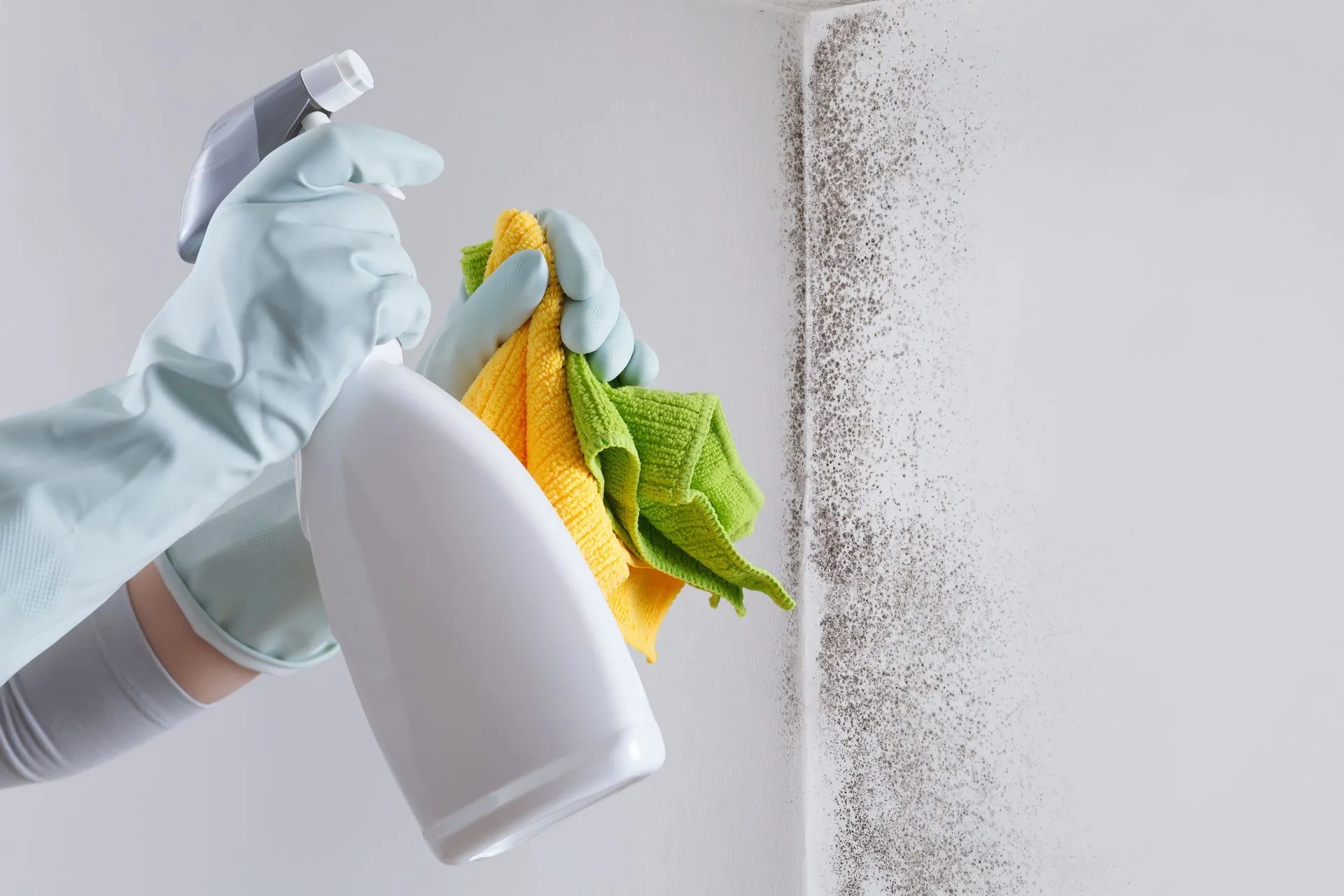How to Remove Mildew in Your Home with Safe Chemicals