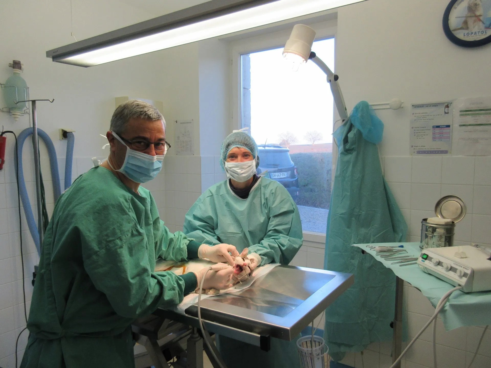 Page d'accueil de la clinique vétérinaire de VilleboisLavalette