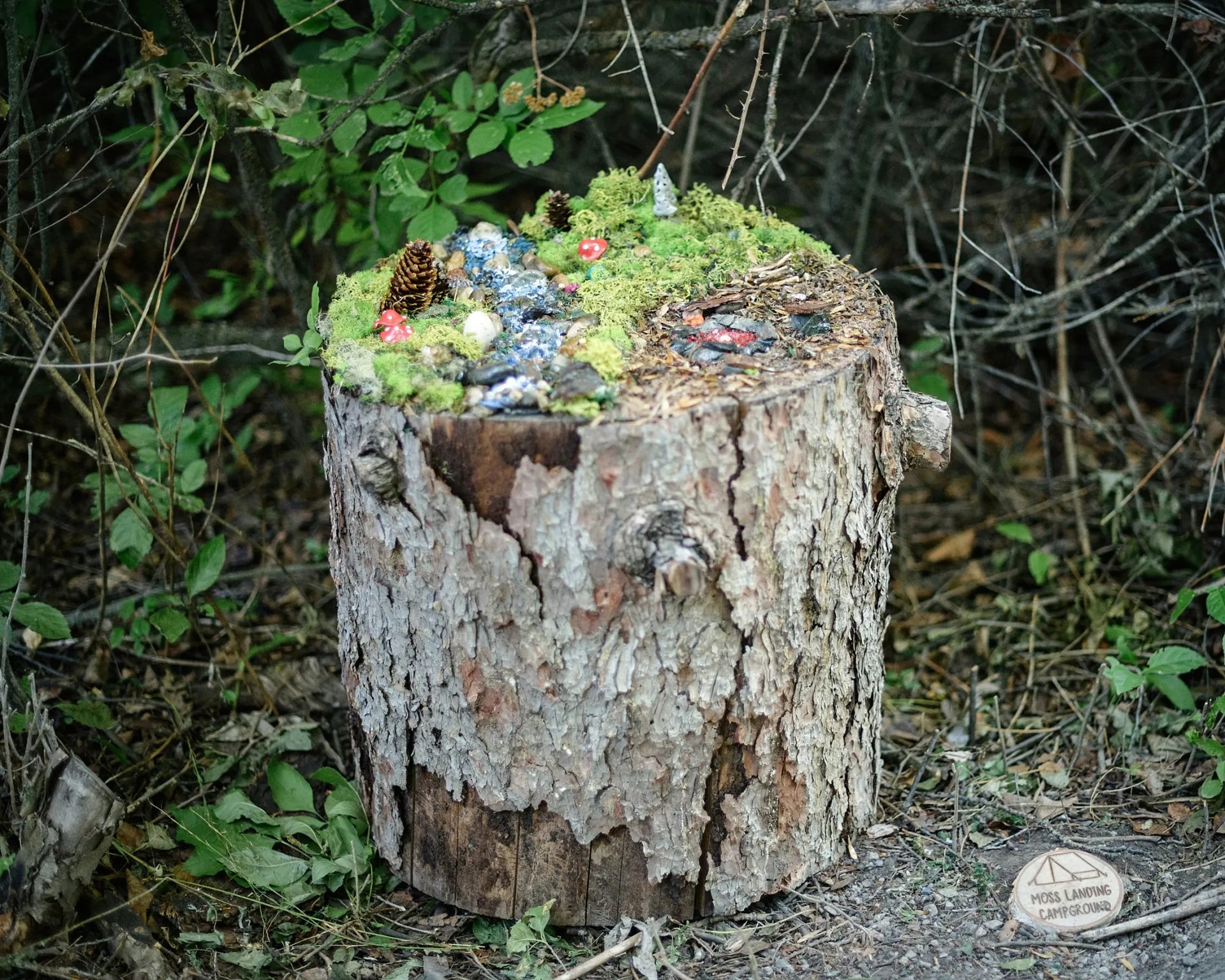 Moss Landing Campground