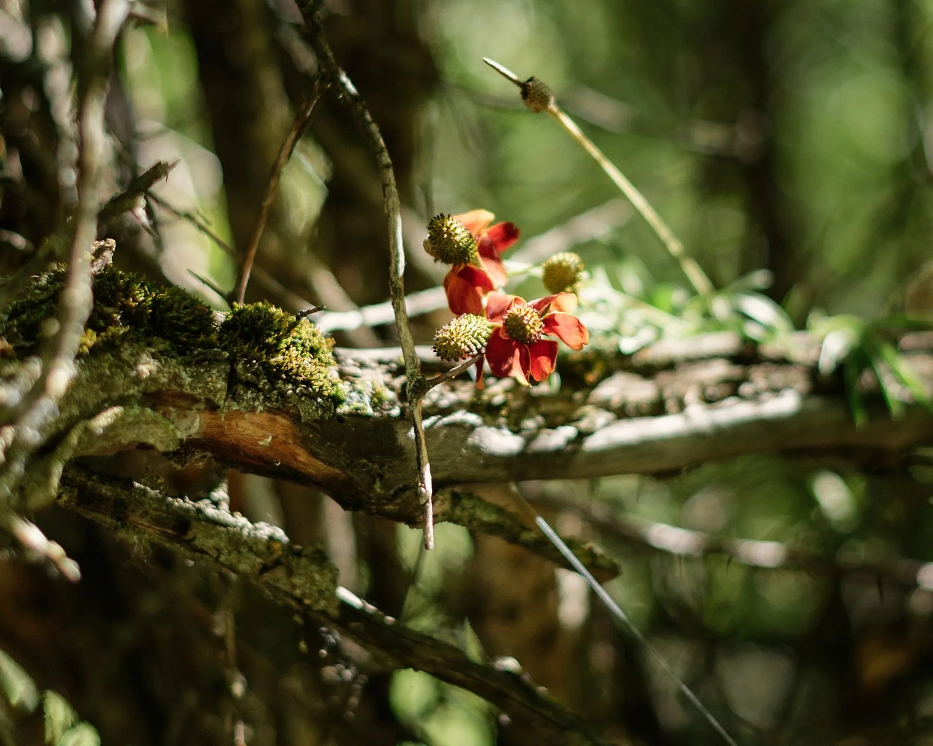 Moss Landing Campground