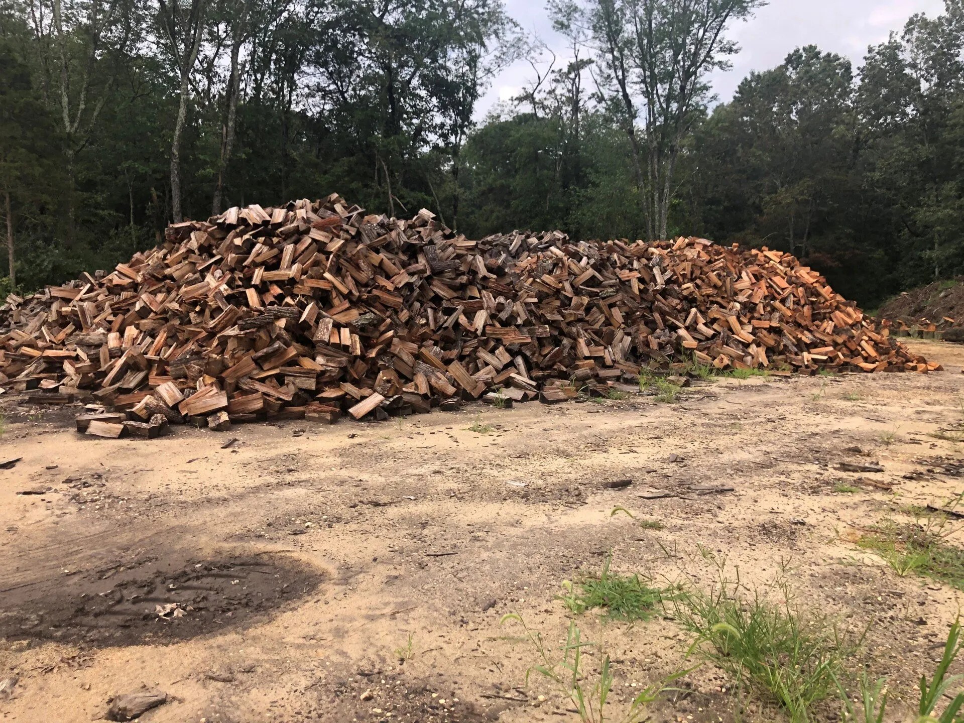 Tree Removal Company Vineland, NJ CAS Tree Service