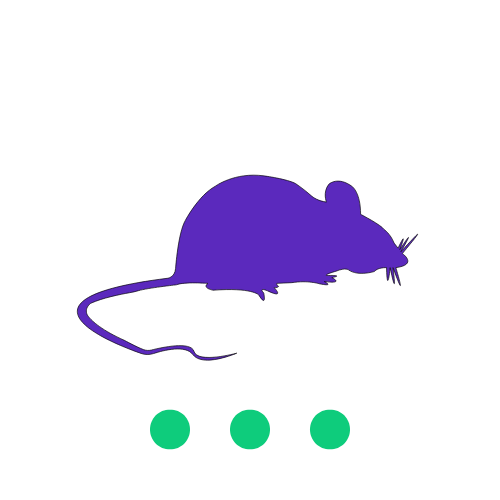 Spider Control in Boise Averse Pest Control