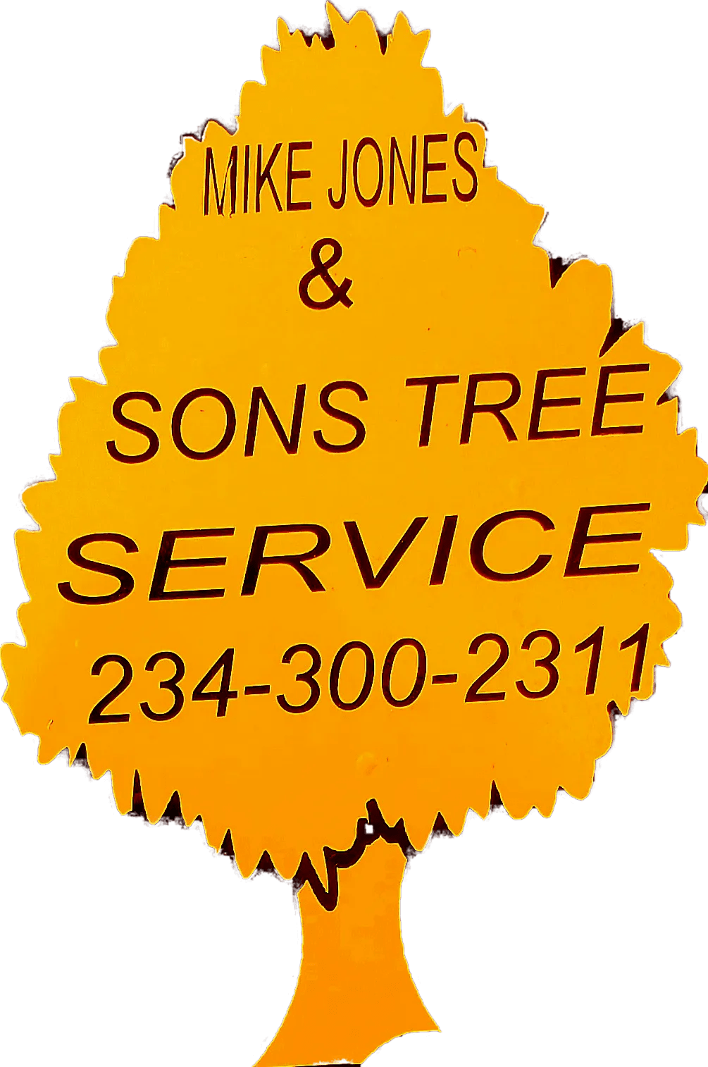 "Understanding Tree Trimming Cost in Akron Ohio A Guide for Homeowners