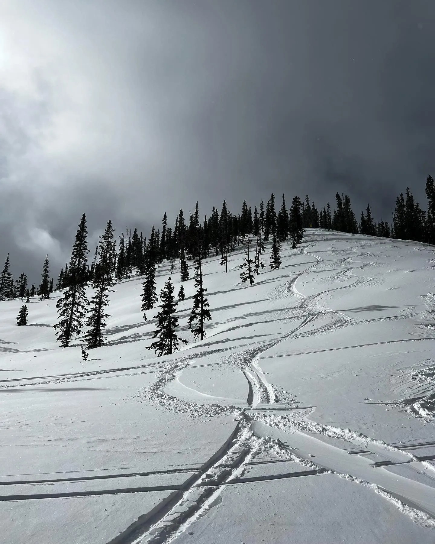 Monarch Mountain, CO, Makes 19 Powder Alliance Resorts For 18/19