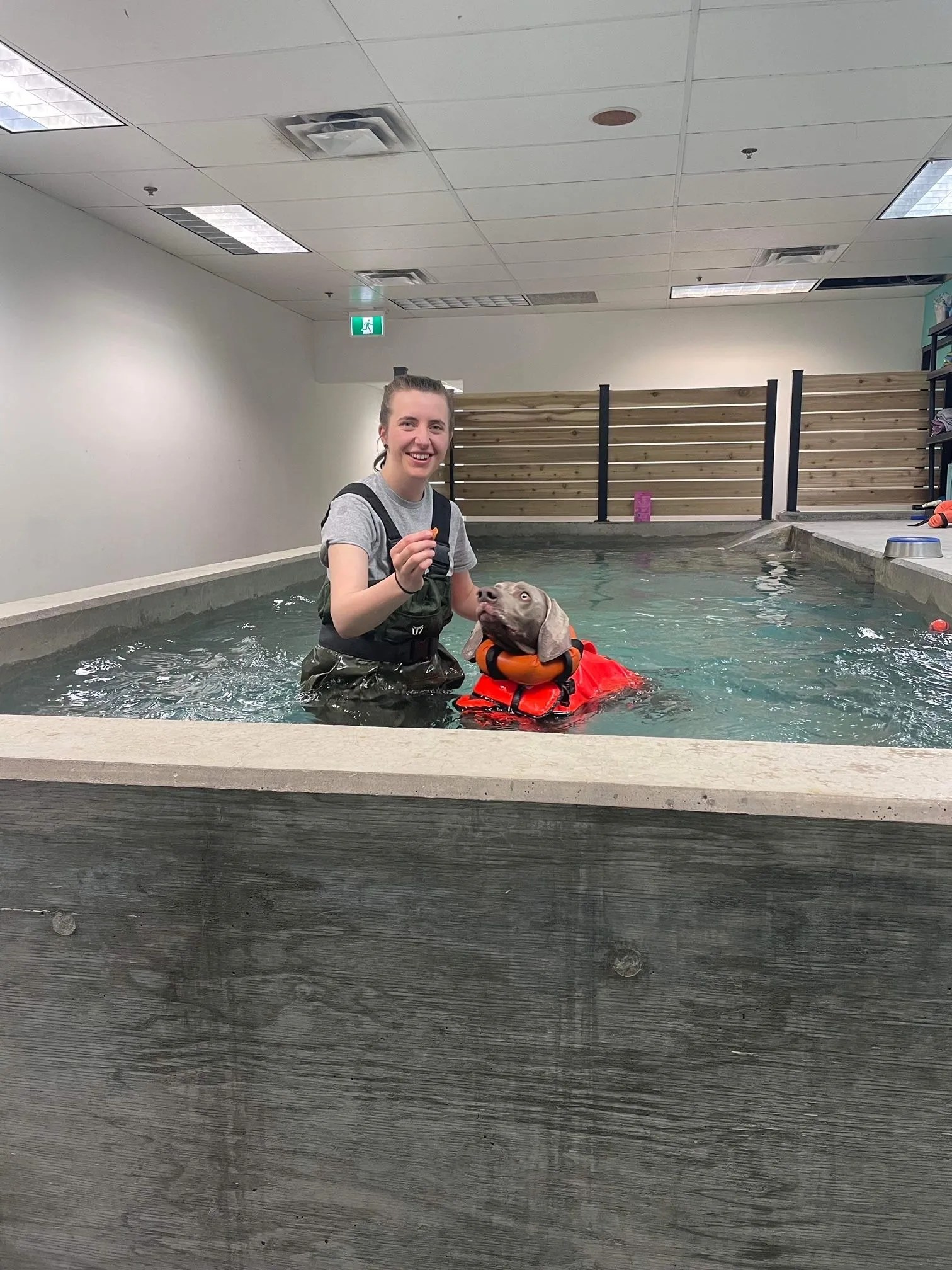 Dog Grooming Calgary Pawsitively Pooched