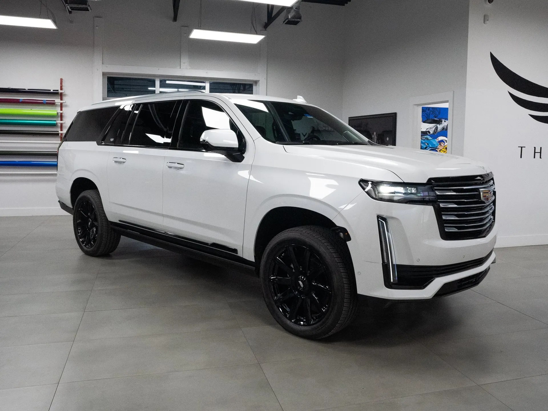 Exotics Collection View Luxury Car Rentals Dallas, TX