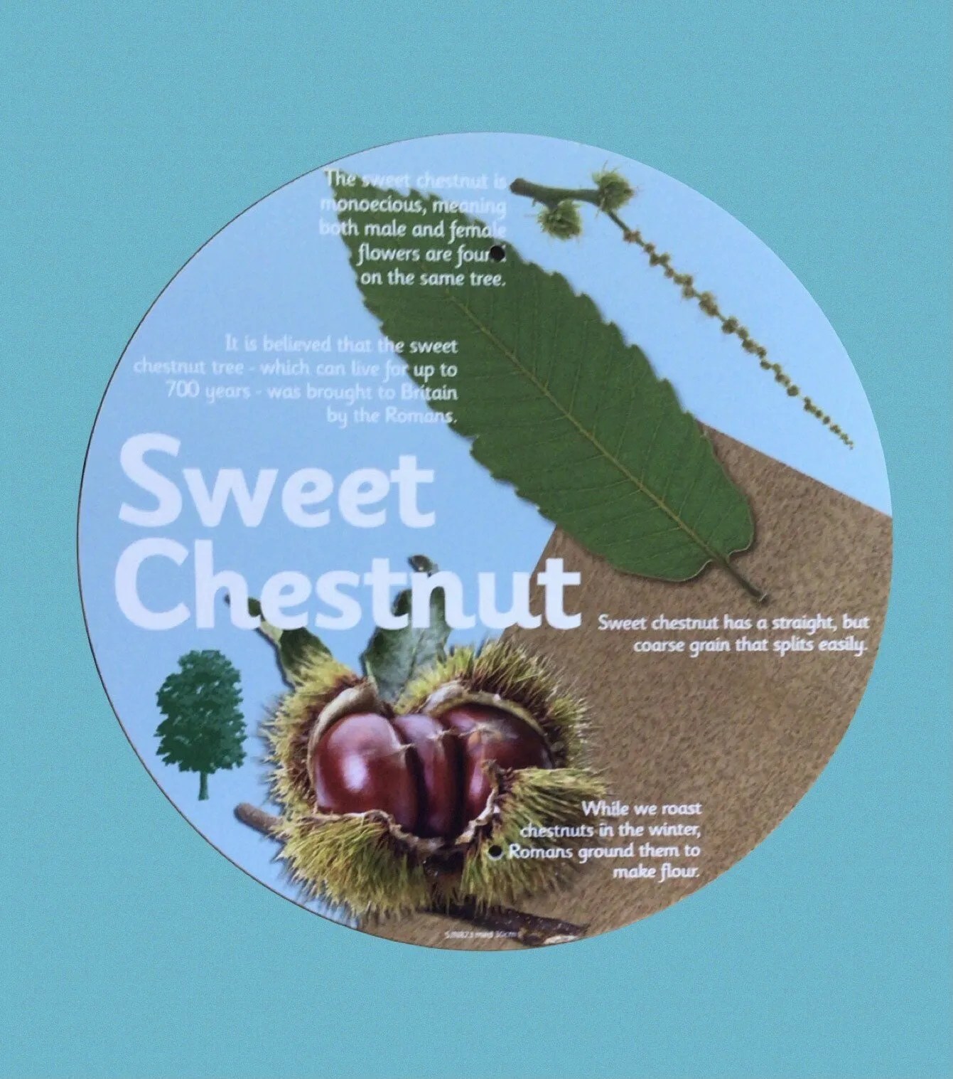 Hudson Primary School Maghull