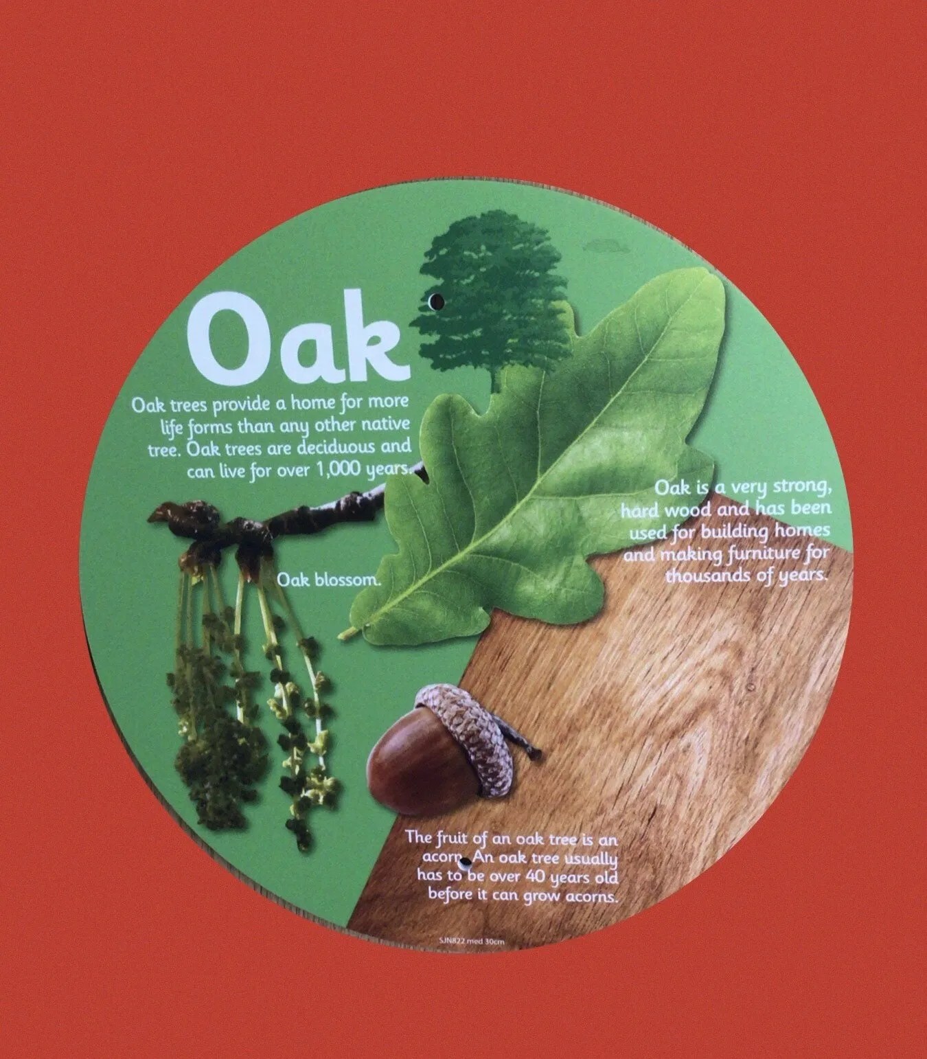 Hudson Primary School Maghull