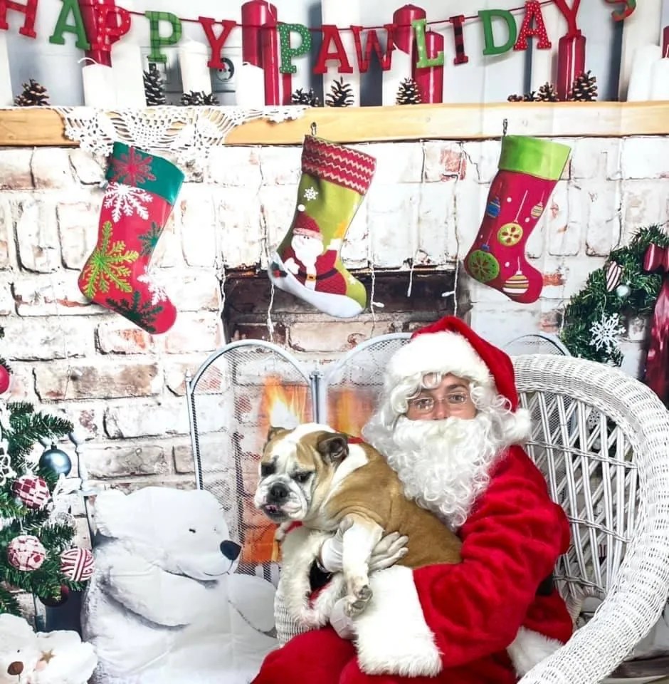 Pet Grooming & Boarding Orangeburg, NY Musbro Kennels