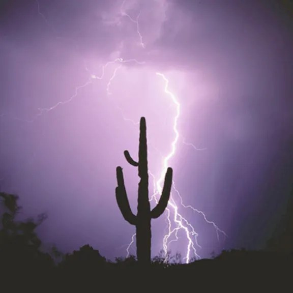 Keller Williams Southern Arizona Property Management Tucson, Oro