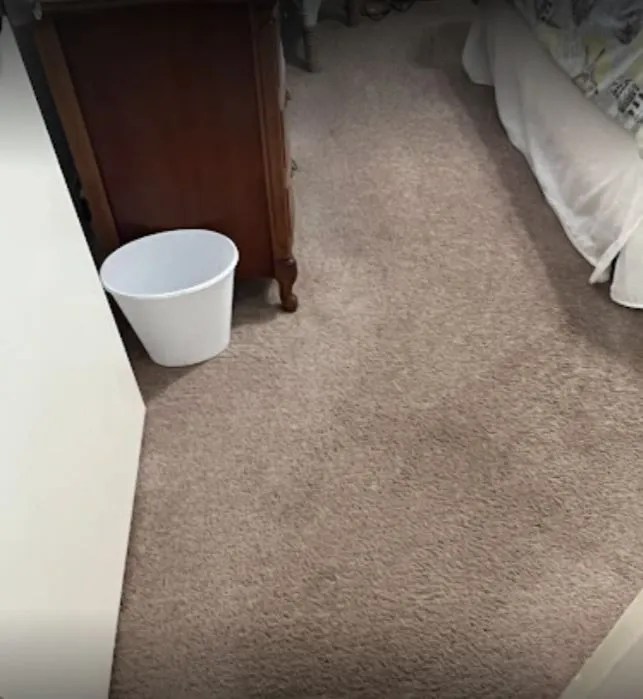 Area Rug Cleaning Kingsland, GA Massey’s ChemDry