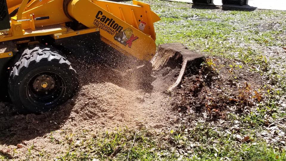 Tree Services and Landscaping Spring Hill, FL Stumped Up