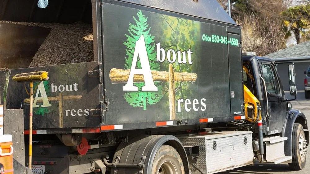 About Trees Blog Tree Service in Redding and Chico, CA