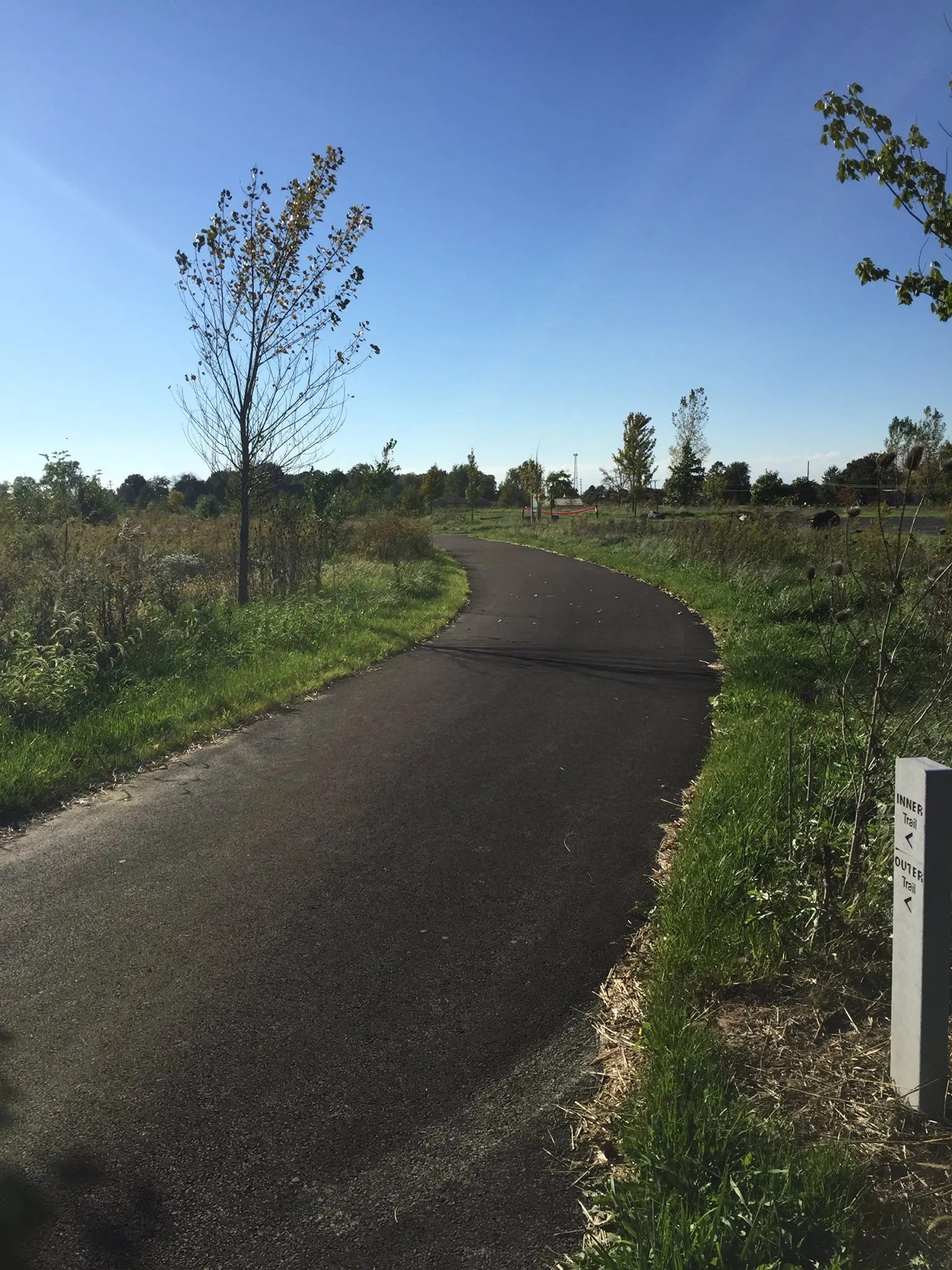 Natural Area The New Bremen Foundation
