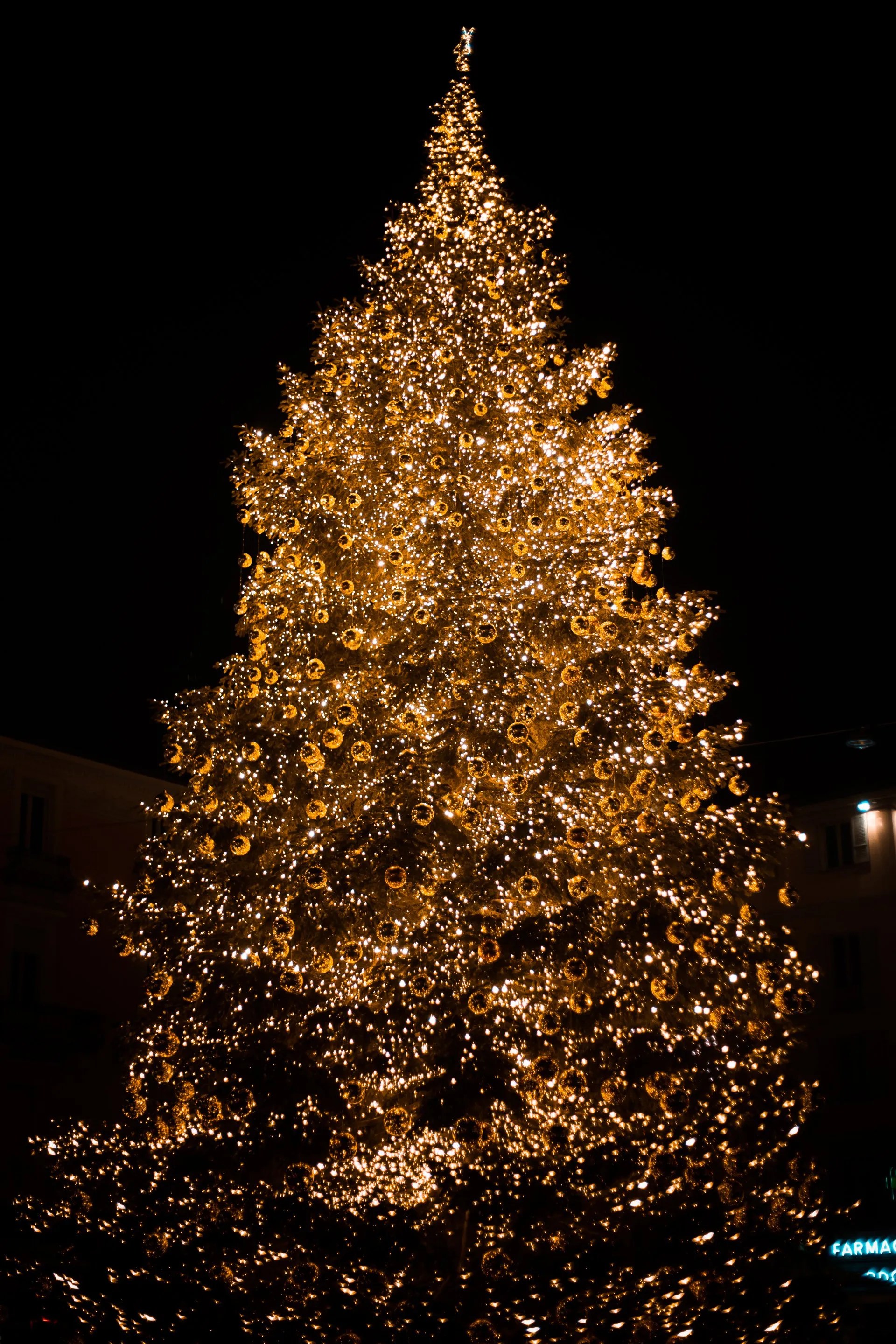 1 Christmas Light Installation in Columbia, Mo Atkins