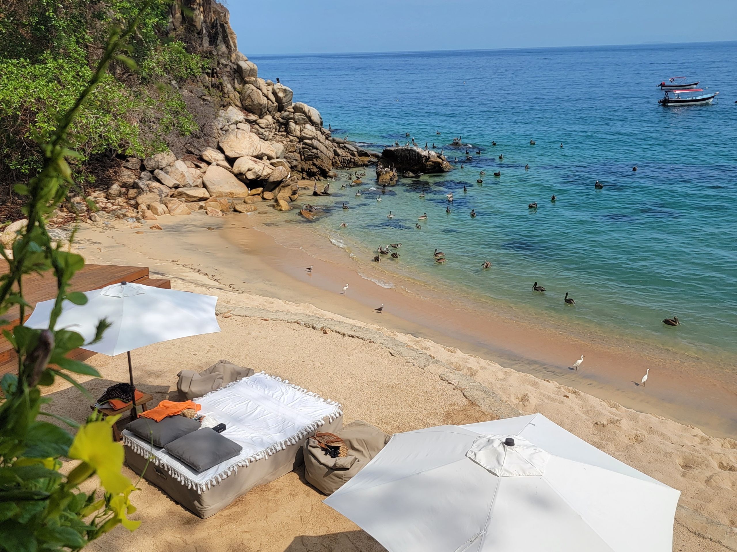 SHINE YOUR LIGHT Lisa Bissett, M.Ed./Ed.S., LMHC