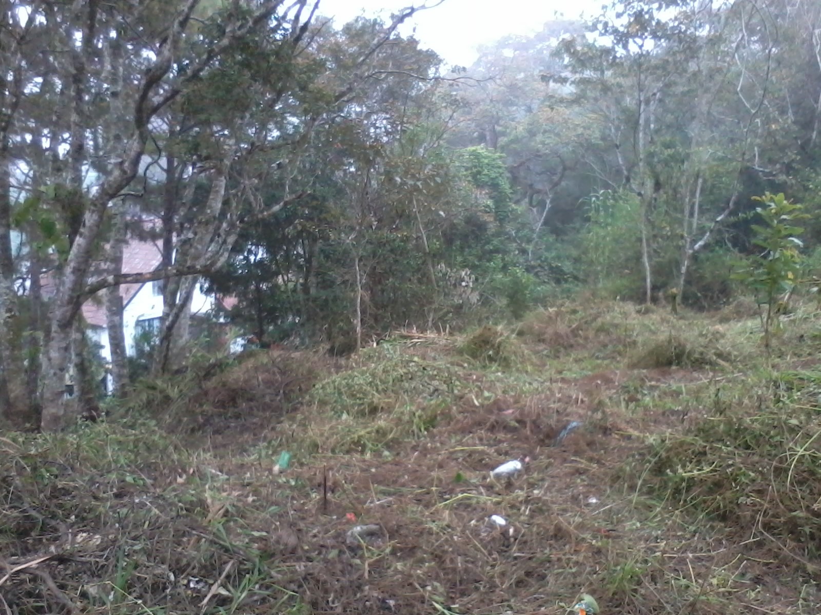 Baguio City Lot for Sale Baguio City Properties